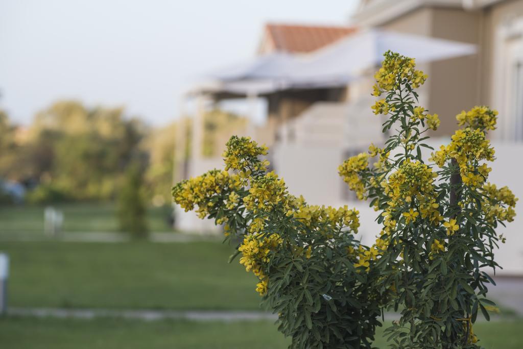 Casa Di Varco Frinion Bagian luar foto